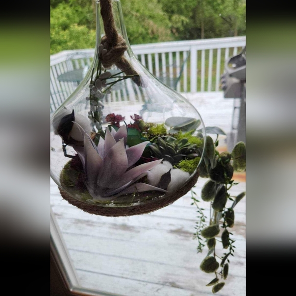 Handmade terrarium - Picture 2 of 2